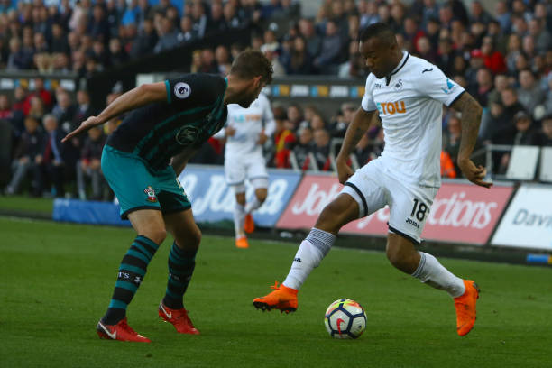 育的未来埋 育的未来埋